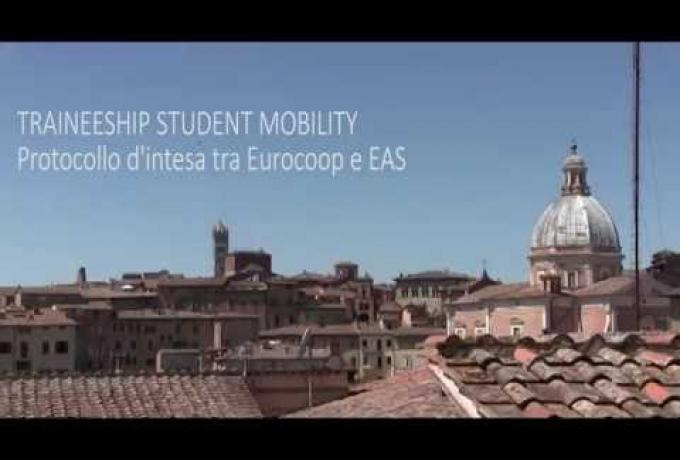 ideas_-_programma_erasmus_placement_e_le_cooperative_di_consumo_europee